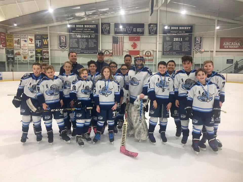 Hatfield Ice Dogs and Warwick Wildcats To Combine Clubs - General Youth  Hockey Info - Youth Hockey Info